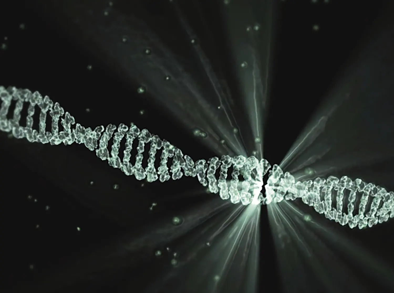 DNA von Achtsamkeitstraining   