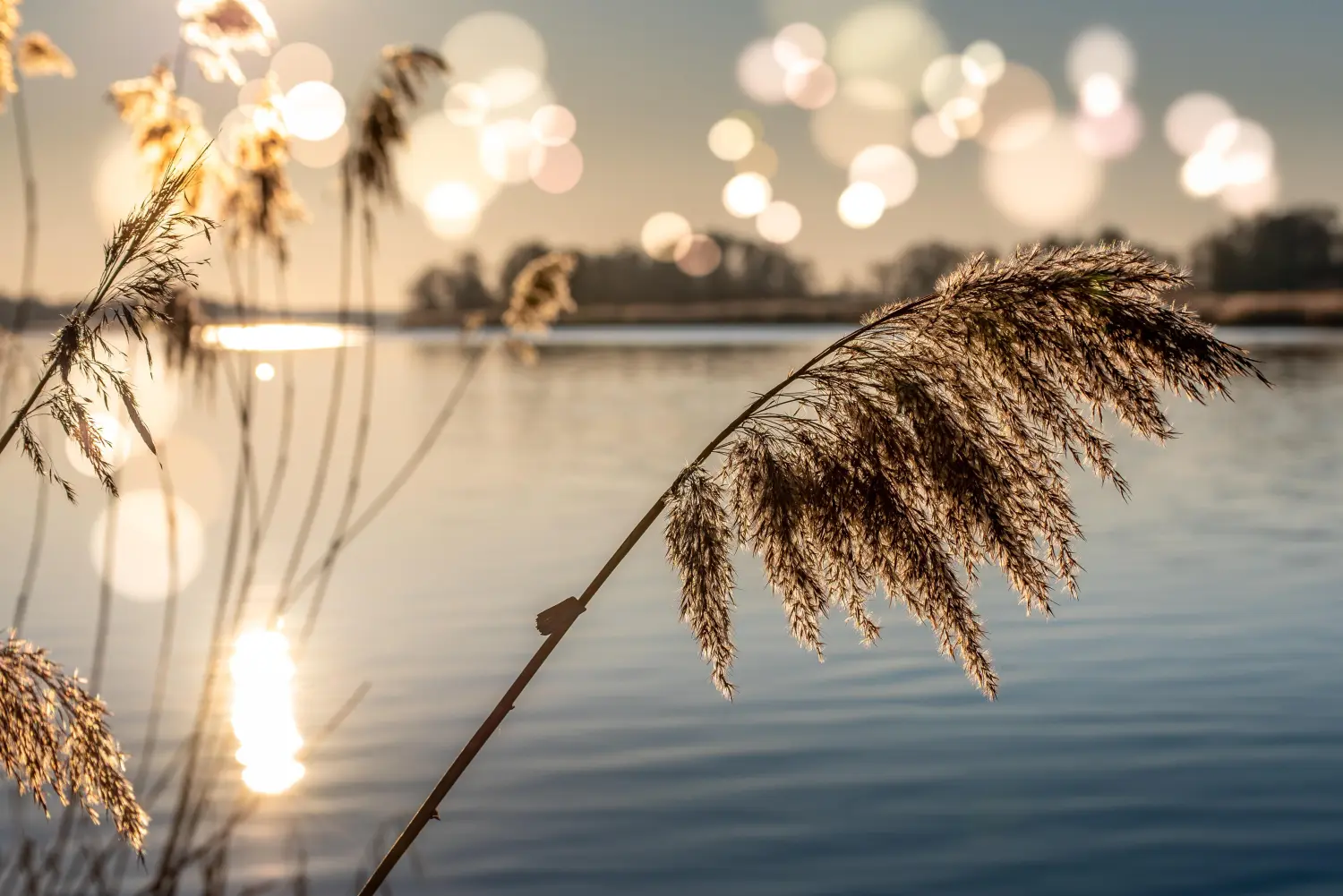 Trockener Urlaub und Fluss von Achtsamkeitstraining 