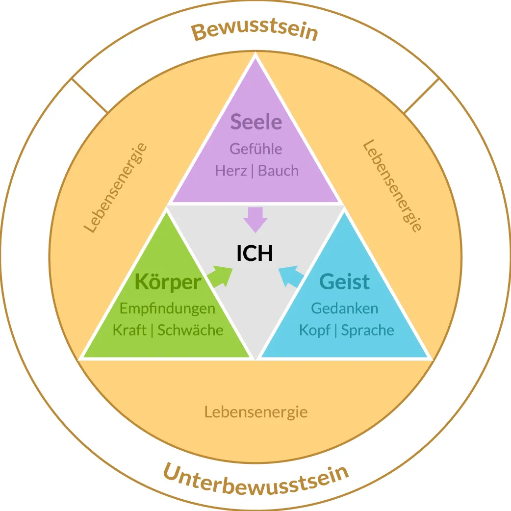 Informationen zum Pyramidendiagramm von Achtsamkeitstraining 